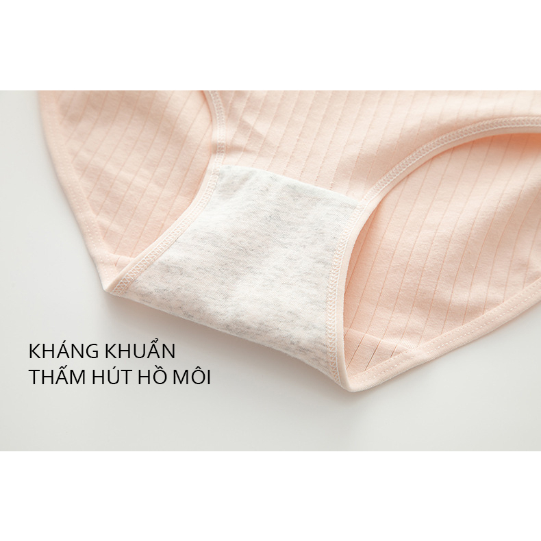 Quần lót nữ cotton mềm mại thấm hút mồ hôi