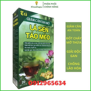 20 gói Trà giảm cân an toàn tan mỡ xổ mỡ Lá sen Táo mèo đốt cháy mỡ thừa giúp thon gọn giải độc gan mát gan giảm mỡ máu