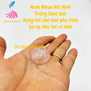 Hít kính LÕM giữ ống DÂY OXY lọc vi sinh và các loại phụ kiện cho hồ cá cảnh