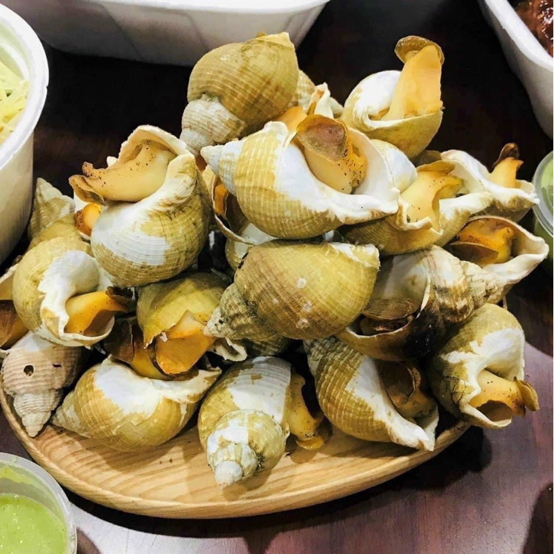 ỐC BULOT PHÁP SIZE 20-30 CON/KG. HÀNG NHẬP KHẨU. GIÁ SỈ 1KG