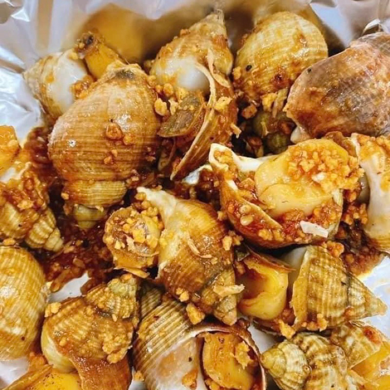 ỐC BULOT PHÁP SIZE 20-30 CON/KG. HÀNG NHẬP KHẨU. GIÁ SỈ 1KG
