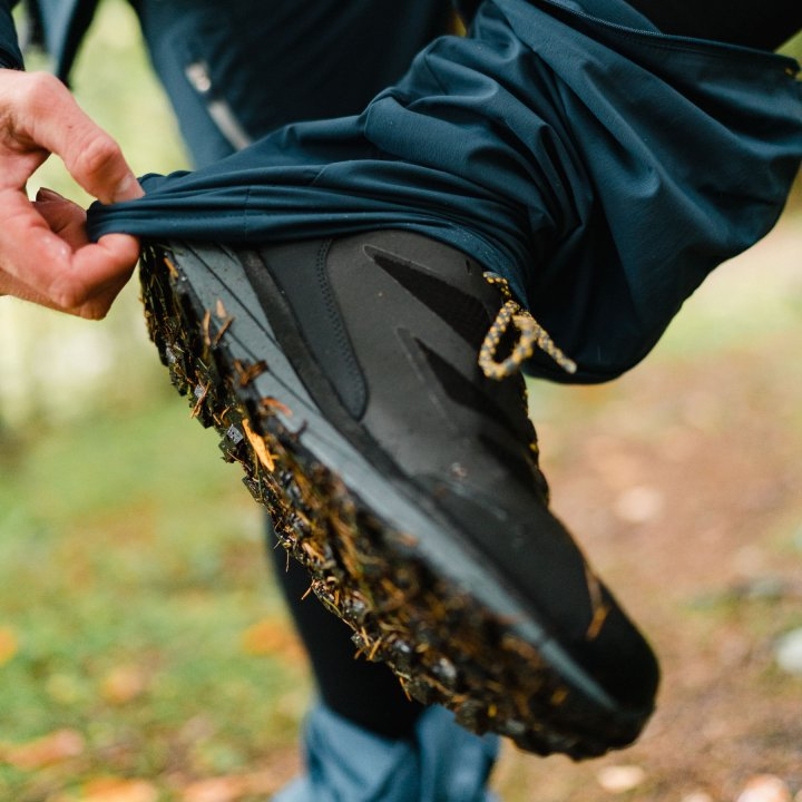 Giày leo núi đi bộ đường dài Jack wolfskin Terravoji Texapore cổ thấp chống nước