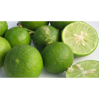 Cây giống chanh bắc siêu sớm