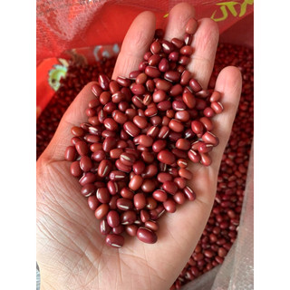 Đậu Đỏ hạt nhỏ 1 kg