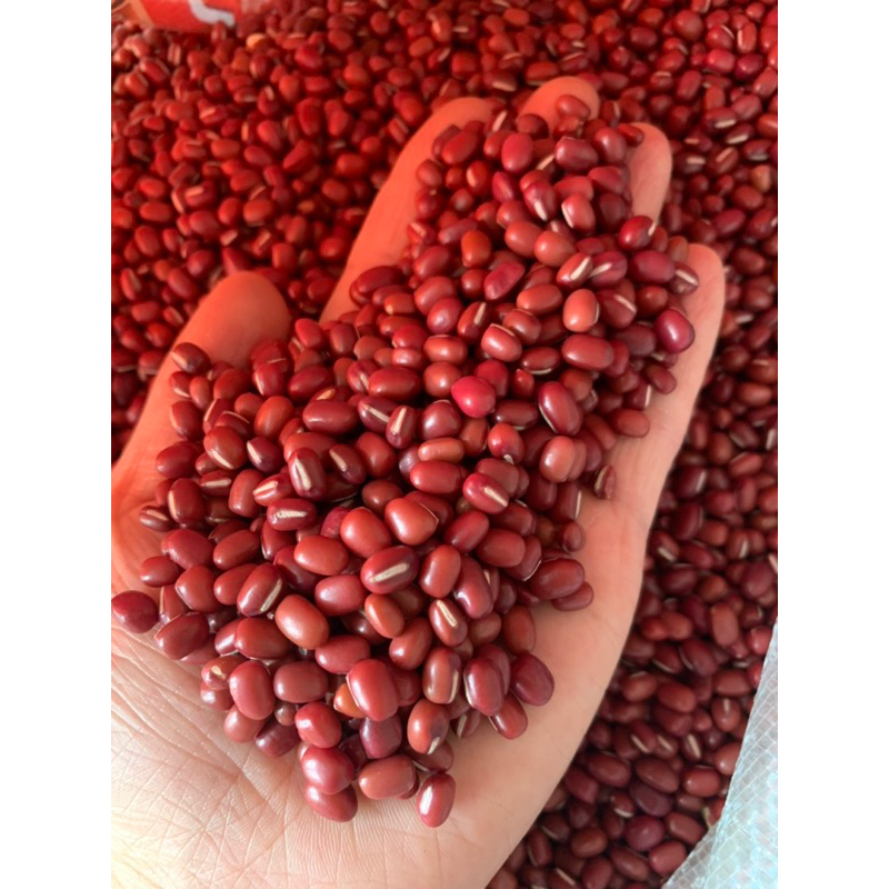 Đậu Đỏ hạt nhỏ 1 kg