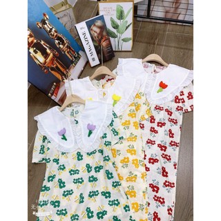 Đầm hoa dáng bbd chốt live