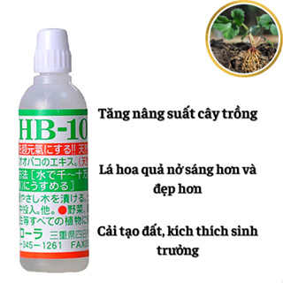 Thuốc kích rể HB-101 NHẬT BẢN giúp tăng trưởng cây xanh phục hồi cây suy