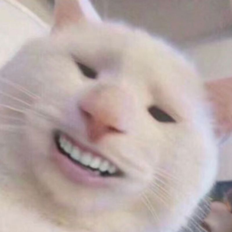 Quà tặng bí mật cho khách hàng thân thiết của Shop