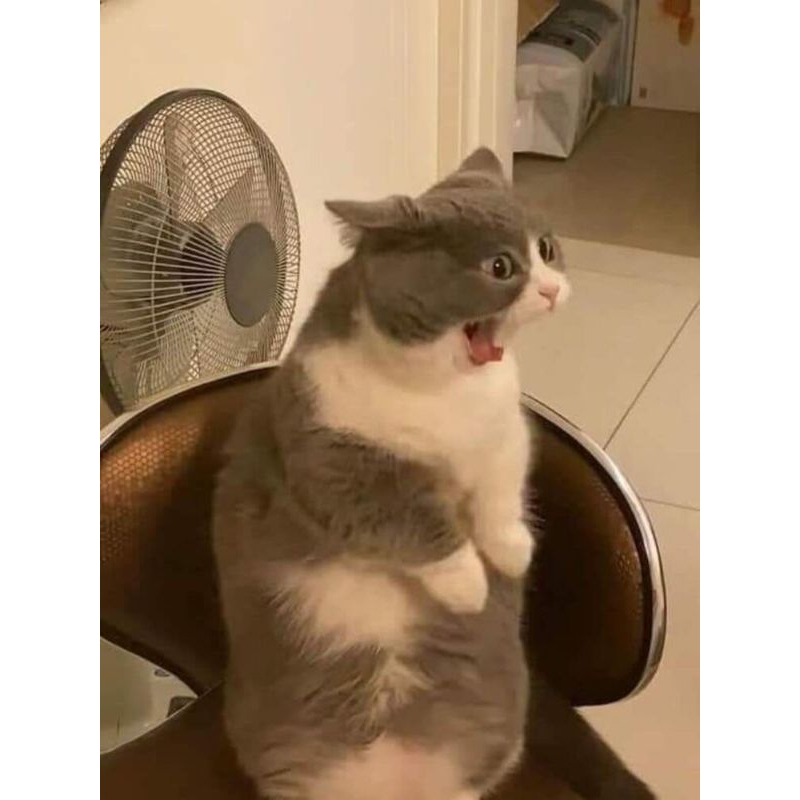 Quà tặng bí mật cho khách hàng thân thiết của Shop