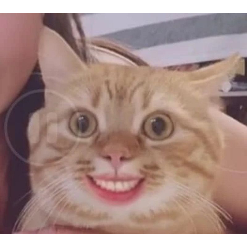 Quà tặng bí mật cho khách hàng thân thiết của Shop