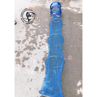 Rọng cá daiwa