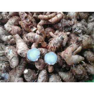 1kg nghệ đen tươi
