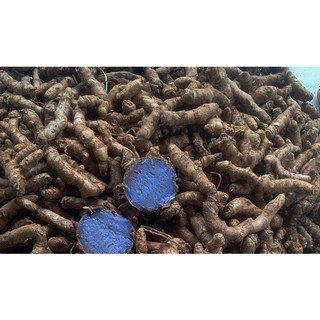 1kg nghệ đen tươi