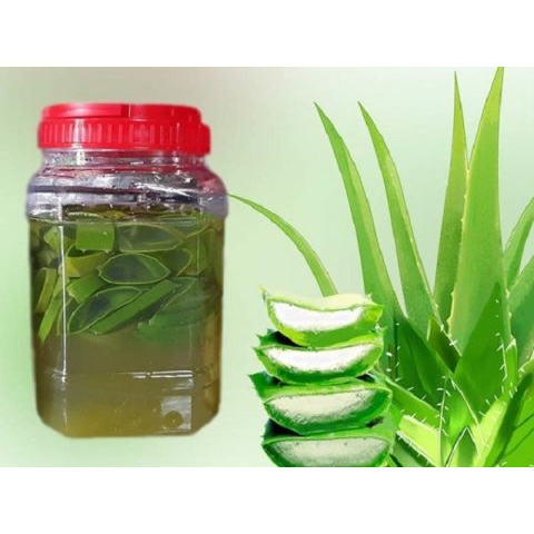 DỊCH GE nha đam chăm sóc lan giải độc, ra rễ , hiệu quả nhà làm 1000ml