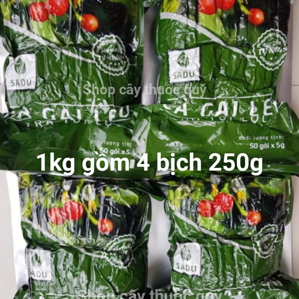 Trà cà gai leo túi lọc Sadu 1kg gồm 4 bịch 250g , trà mát gan, giải độc gan