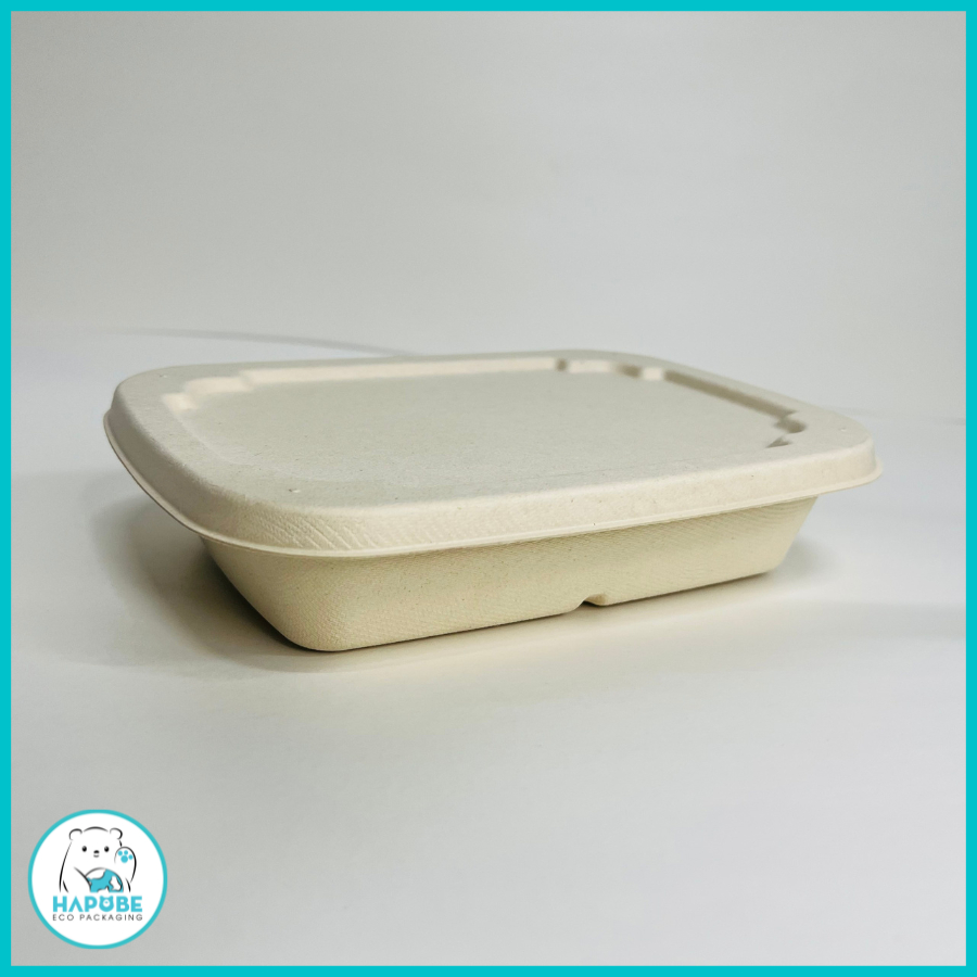 Combo 50 hộp bã mía chữ nhật 790ml BHZ006