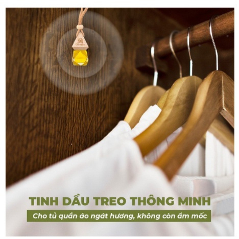 Tinh dầu treo xe ô tô 100% tự nhiên giúp diệt khuẩn khử mùi hôi có hương thơm dịu nhẹ