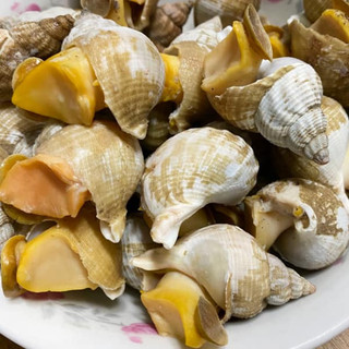 Giá sỉ - 1Kg Ốc Bulot Pháp (Sofrimar) - Q12