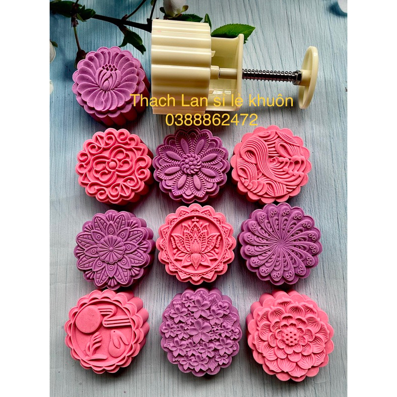 Khuôn lò xo xanh mẫu 2023 đường kính 8cm