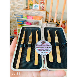 Nhíp volume vàng gắp mi