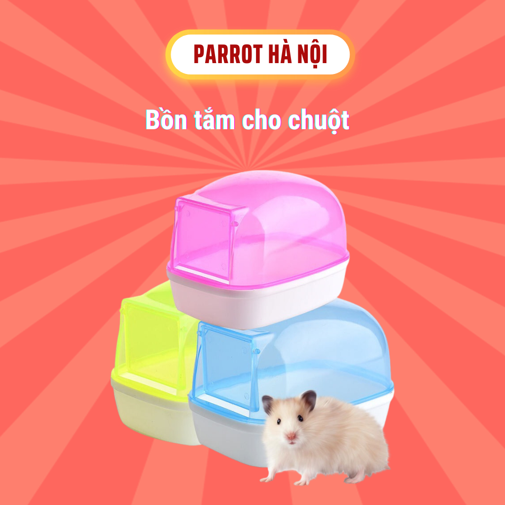Bồn tắm cho chuột hamster