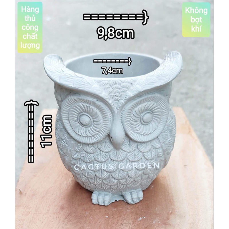 chậu cú mắt to