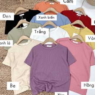 Áo phông trơn form vừa trơn hàng đẹp chuẩn mác freshgirls
