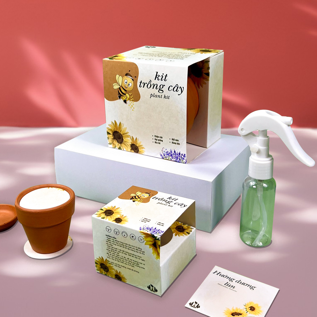 Kit Trồng Cây Mini, Bộ Trồng cây Hạt Giống Hoa Hướng dương lùn | Plant Kit - Sunflower Mầm Xinh