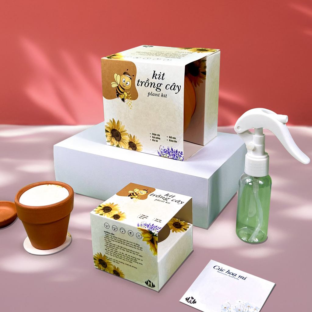 Kit Trồng Cây Mini, Bộ Trồng Cây Hạt Giống Hoa Cúc Hoạ Mi | Plant Kit - Matricaria chamomilla Mầm Xinh