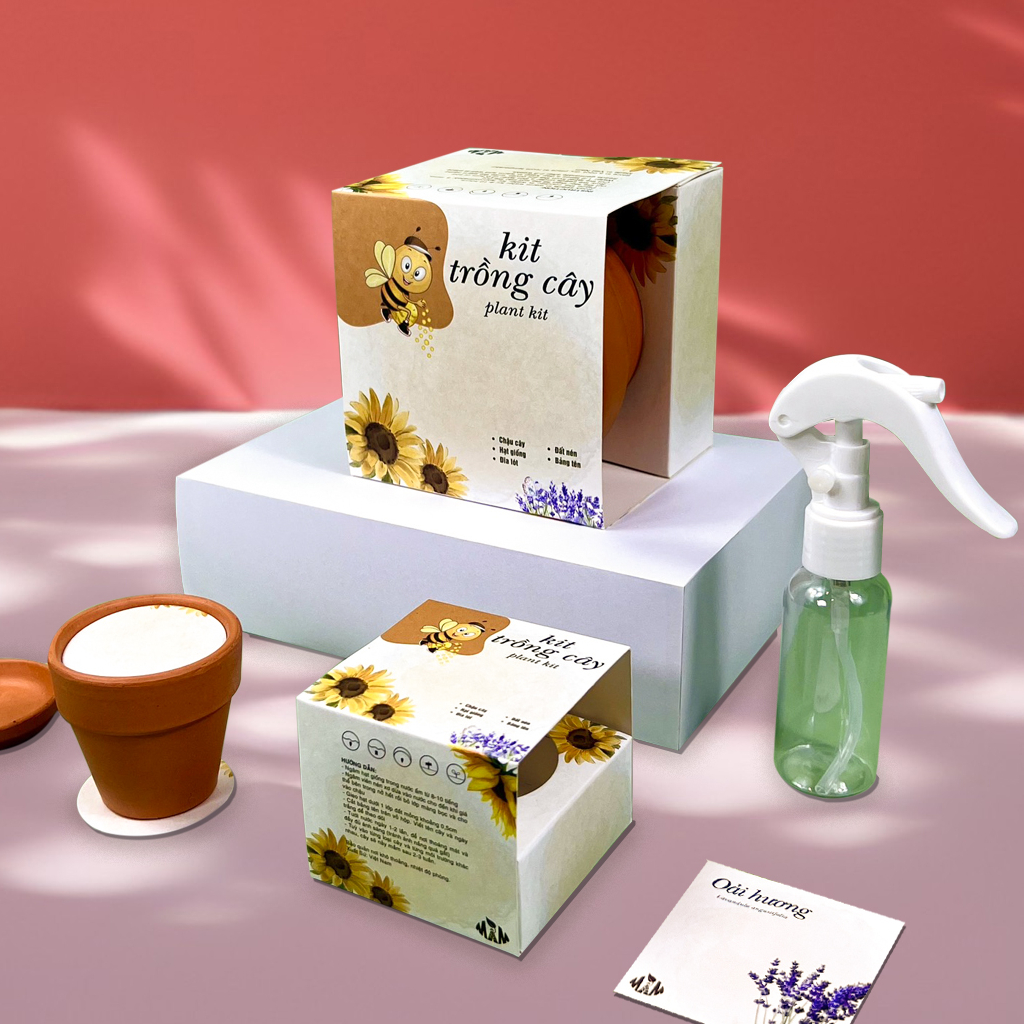 Kit Trồng Cây Mini -Bộ Trồng Cây Hạt Giống Hoa oải Hương | Plant Kit - Lavender Mầm Xinh
