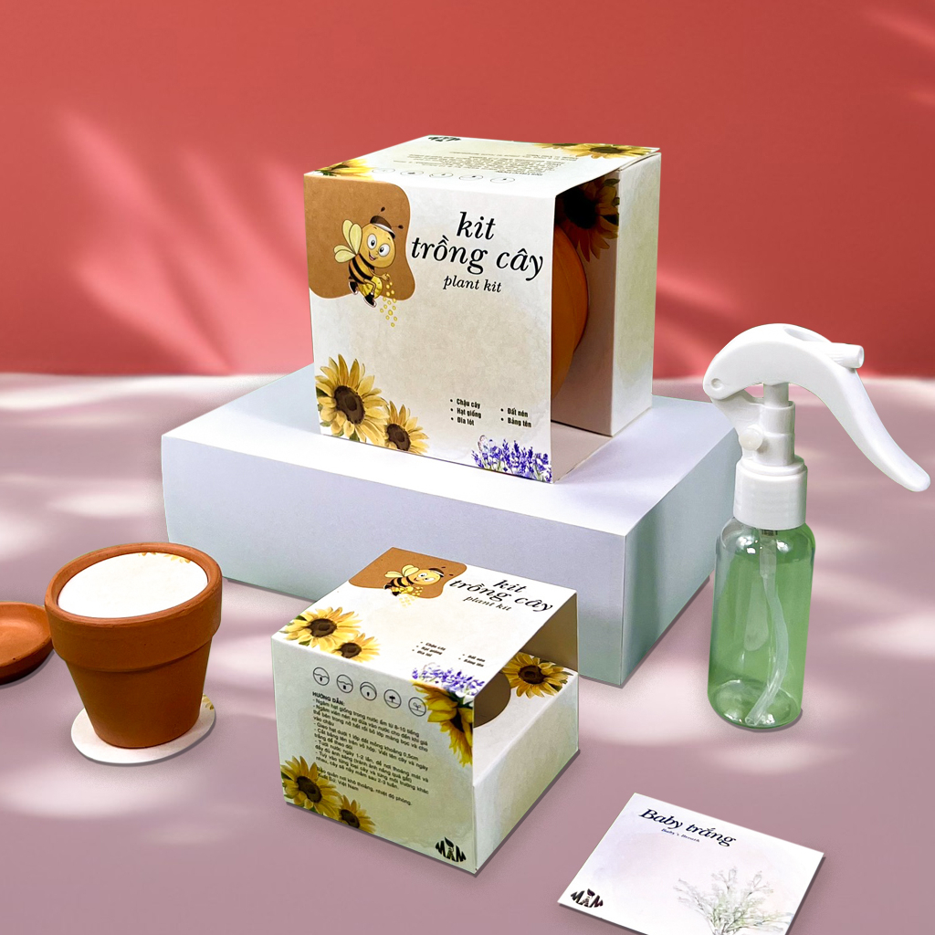 Kit Trồng Cây Mini - Bộ Trồng Cây Hạt Giống Hoa Baby trắng | Plant Kit - Baby’s Breath Mầm Xinh