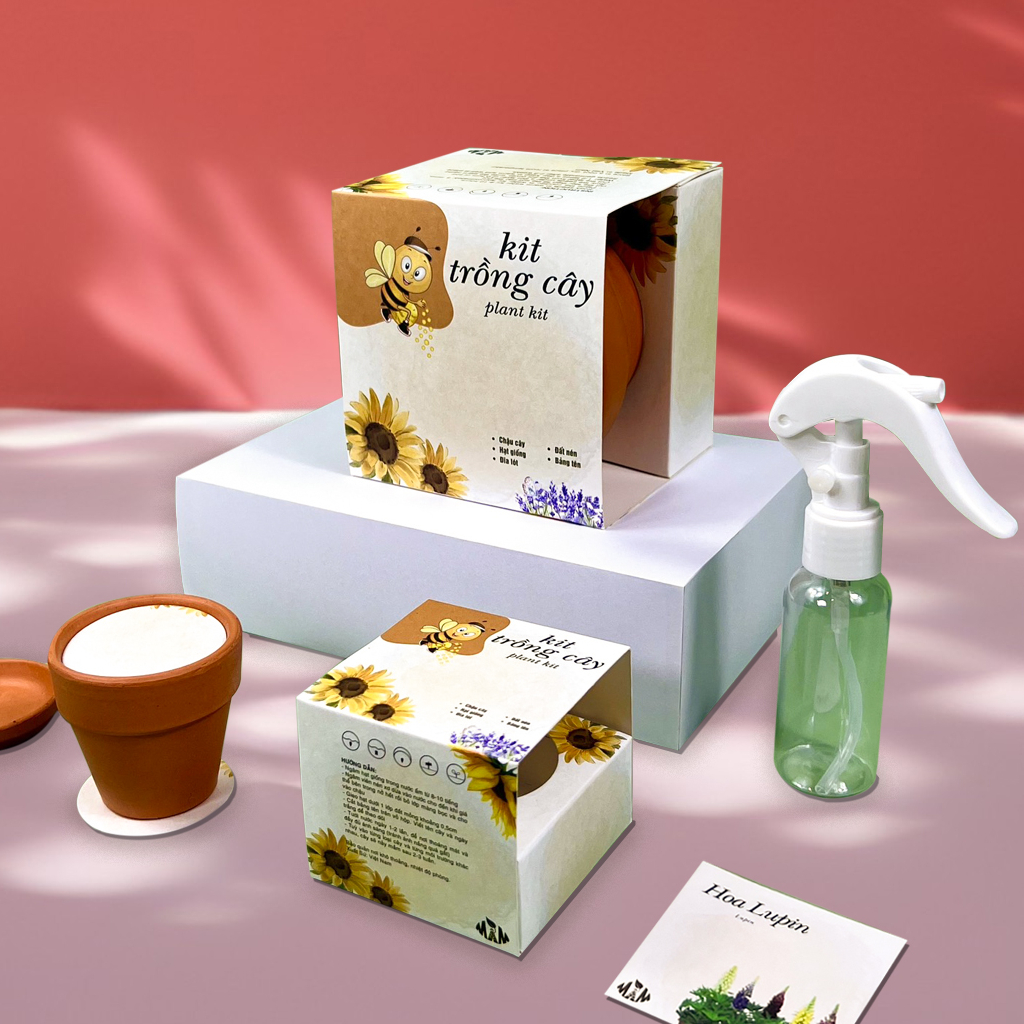 Kit Trồng Cây Mini, Bộ Trồng Cây Hạt Giống Hoa Lupin | Plant Kit - Lupini Mix Mầm Xinh
