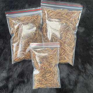 Sâu sấy khô cho hamster