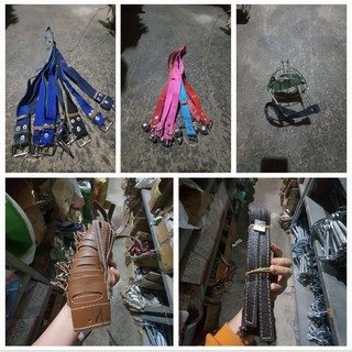 Giọ mõm chó