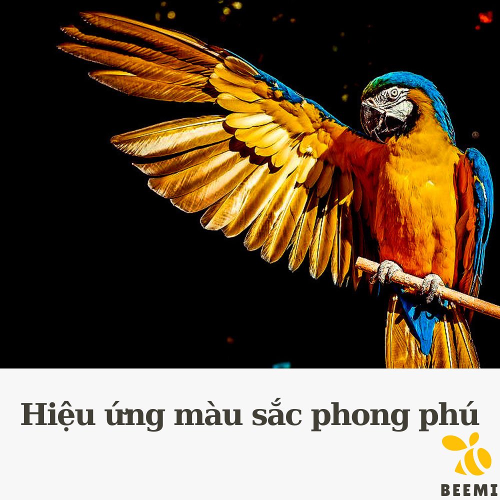 Máy Chiếu Giá Rẻ Mini X7 Kèm Phụ Kiện Chân Máy Beemi Tại Nhà Phòng Họp B204