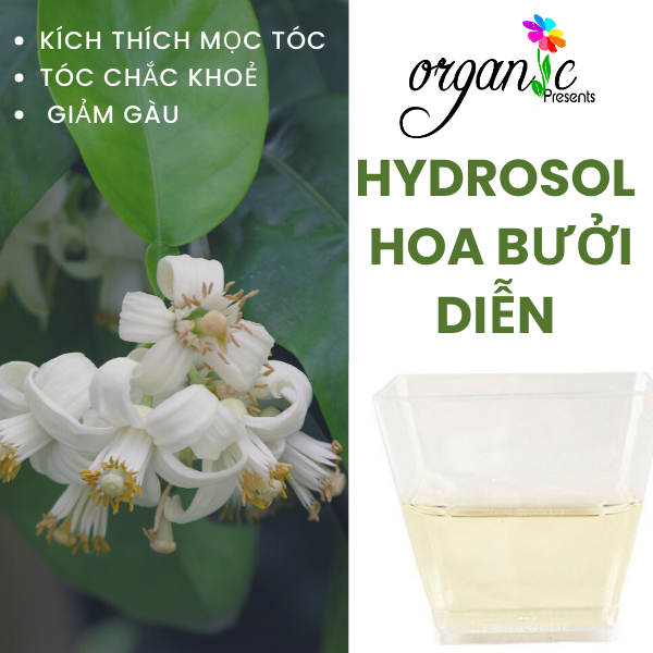 NƯỚC HOA BƯỞI (GRAPEFRUIT BLOSSOM HYDROSOL - VN)