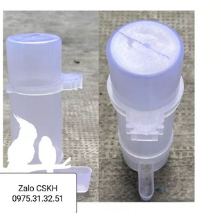 Bộ cóng uống nước chim cảnh