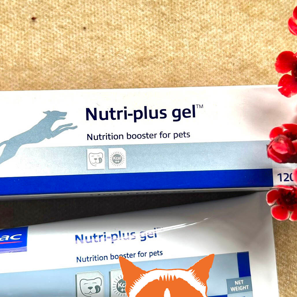 1 Tuýp Nutri plus-Gel dinh dưỡng cao cấp dành cho chó mèo