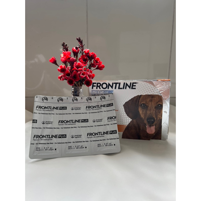 Tuýp Frontline plus dog  - sản phẩm nhỏ gáy ve rận, ghẻ cho chó dưới 10kg