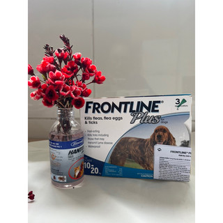 1 Tuýp Sản phẩm nhỏ gáy ve rận nhỏ gáy Frontline Plus cho chó 10-20kg