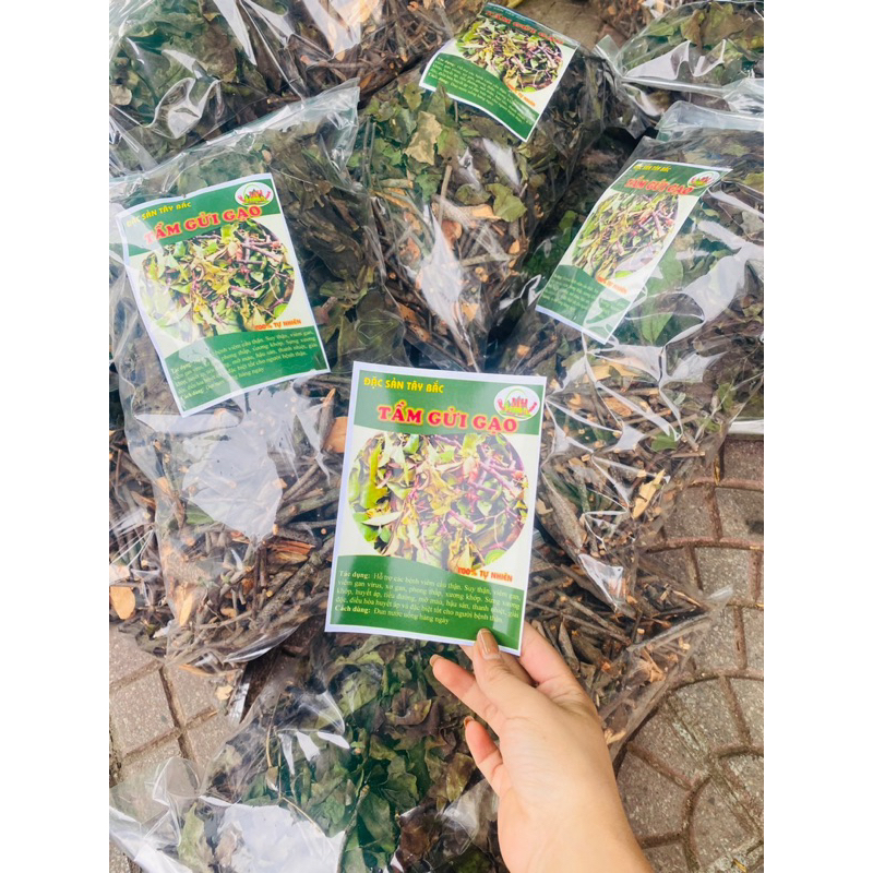 Tầm gửi gạo hàng xịn 1kg không pha tạp