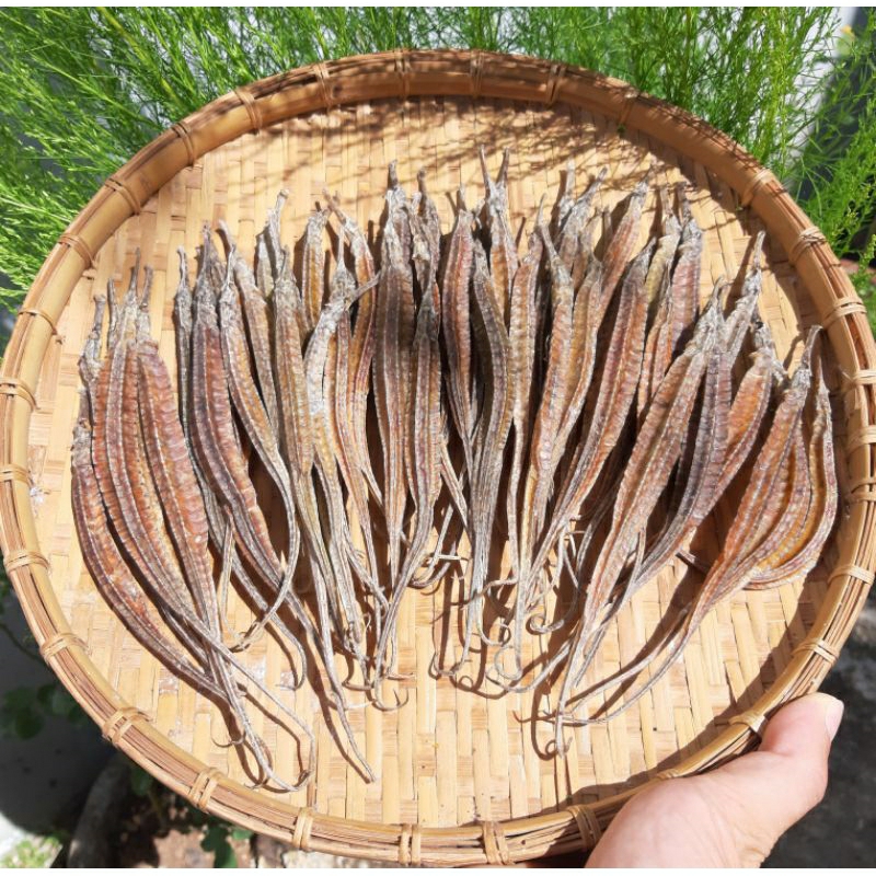 Hải Long - Rồng Biển
