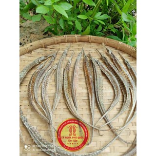 Hải Long - Rồng Biển