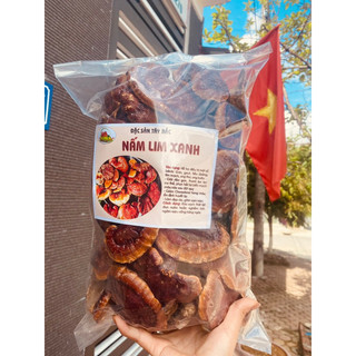 Nấm lim xanh loại VIP đẹp 1kg