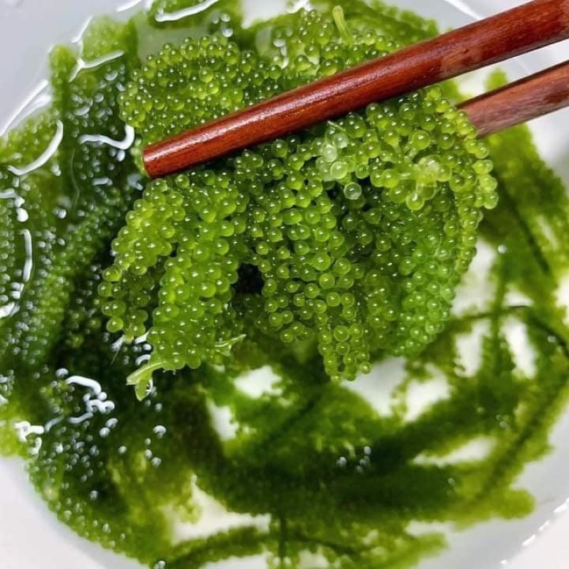 RONG NHO TÁCH NƯỚC 100g - Rong nho tách nước Khánh Hoà 100g nở ra 300g