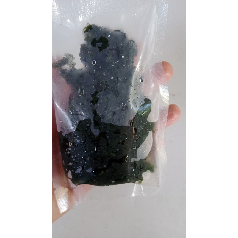 RONG NHO TÁCH NƯỚC 100g - Rong nho tách nước Khánh Hoà 100g nở ra 300g