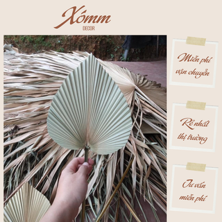 Lá cọ khô size nhỏ trang trí decor . nhận cắt theo mẫu yêu cầu