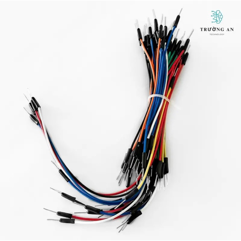 Bó dây cắm Board Test 65 sợi