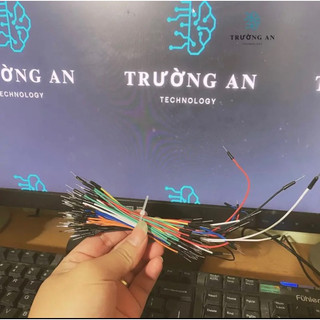 Bó dây cắm Board Test 65 sợi