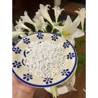 Bột sắn dây nguyên chất ( Hộp 500g )